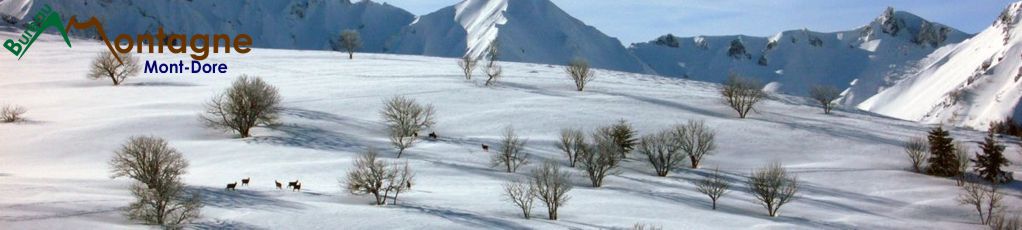 Bureau des Accompagnateurs en Montagne du Mont-Dore